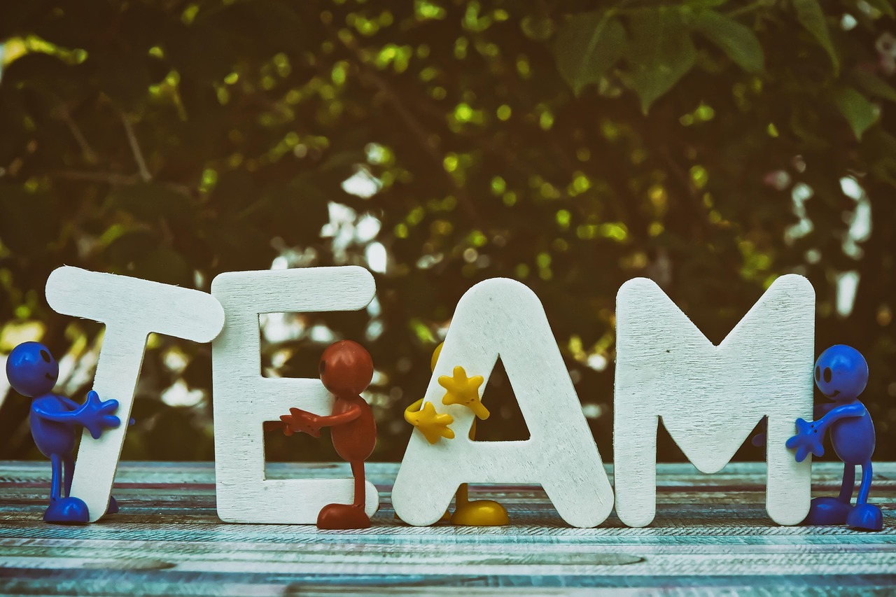 蓝梅花王：阜阳木门代理订购平台