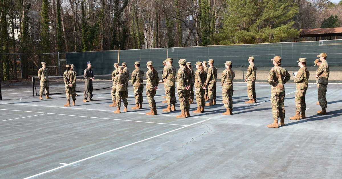 什么是网页标签 