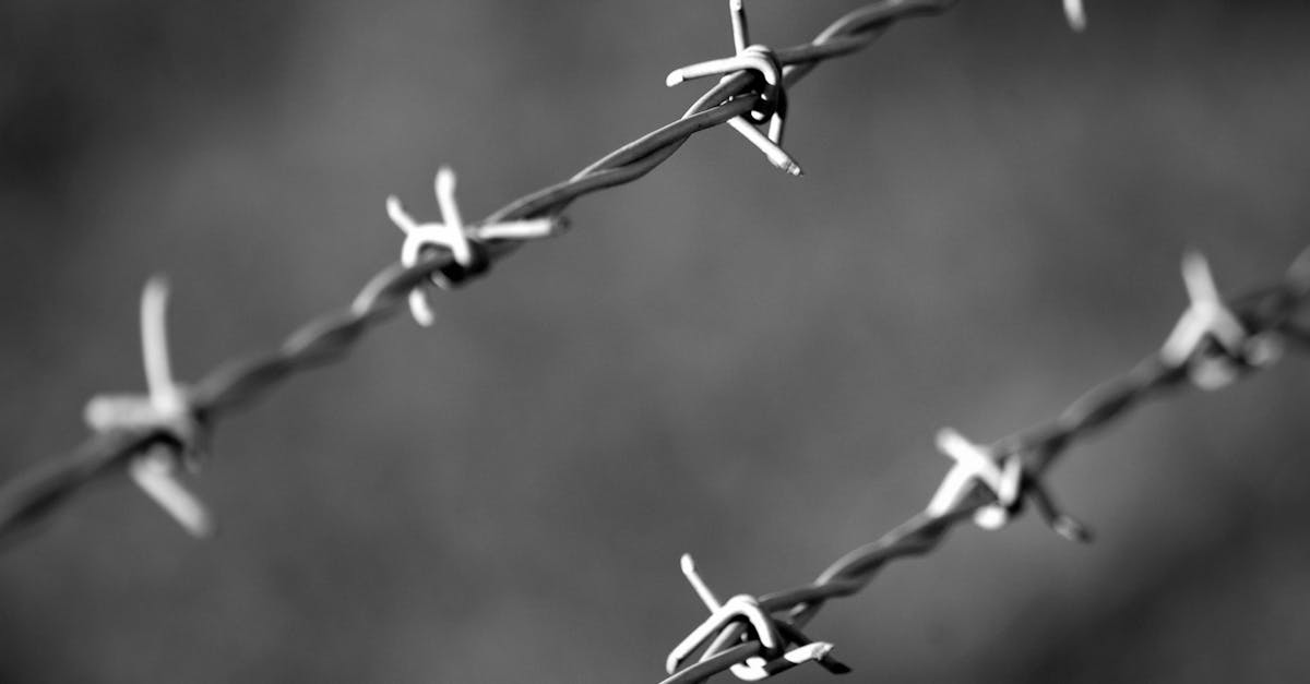 微信出售:榆林书画购买平台