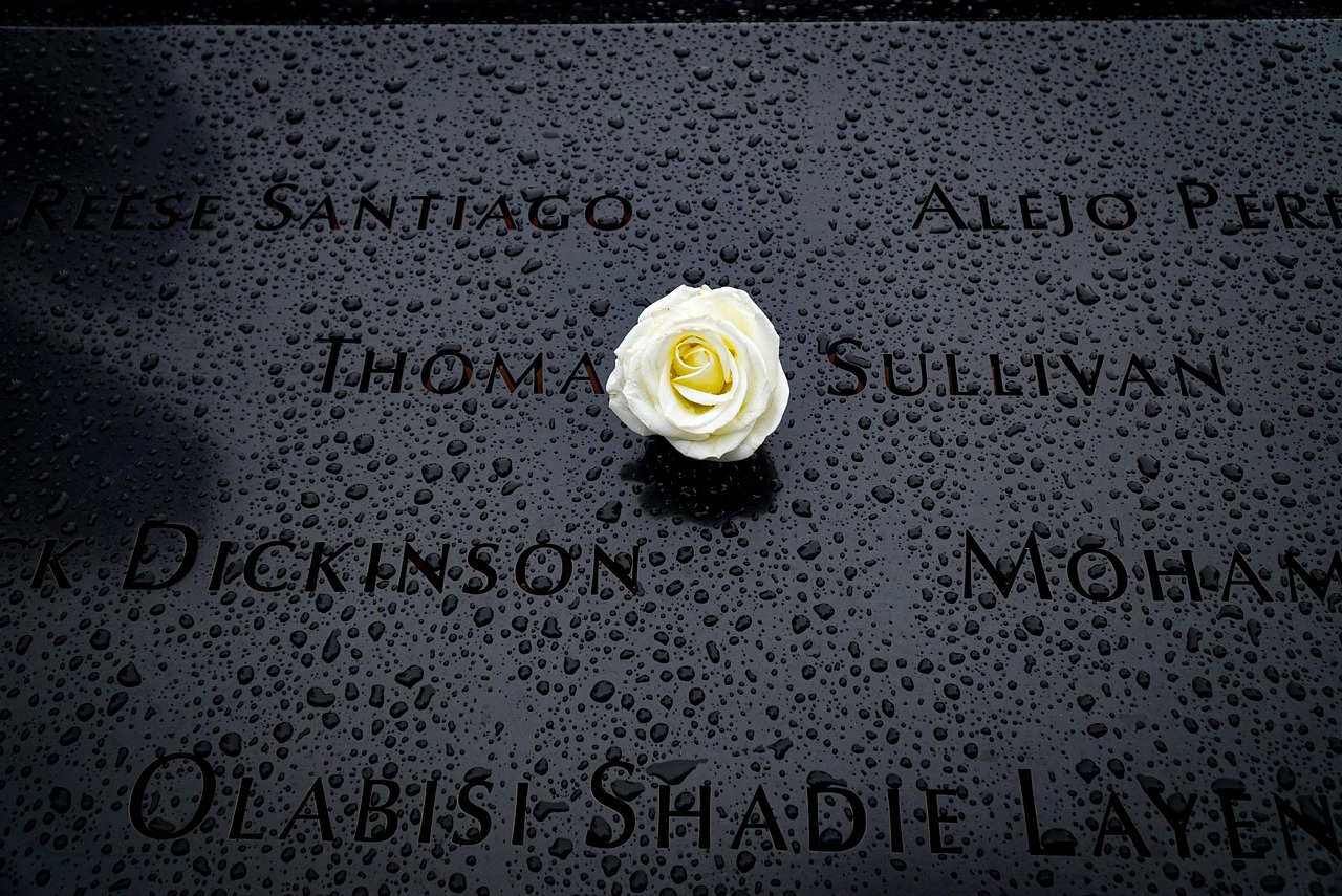 金烽3娱乐,注册|供应链平台开户条件