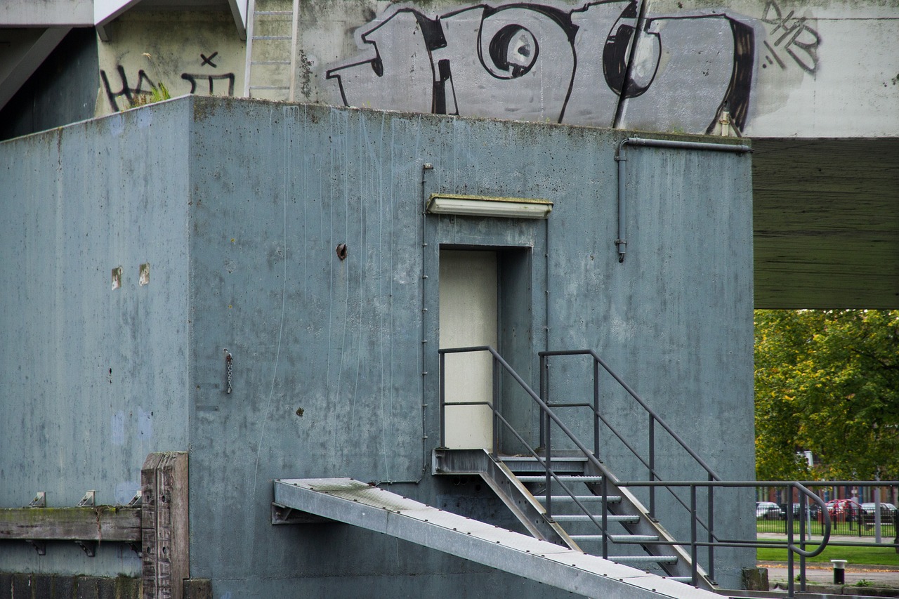 中免555水蜜桃双爆珠：代理网络项目规划平台登录