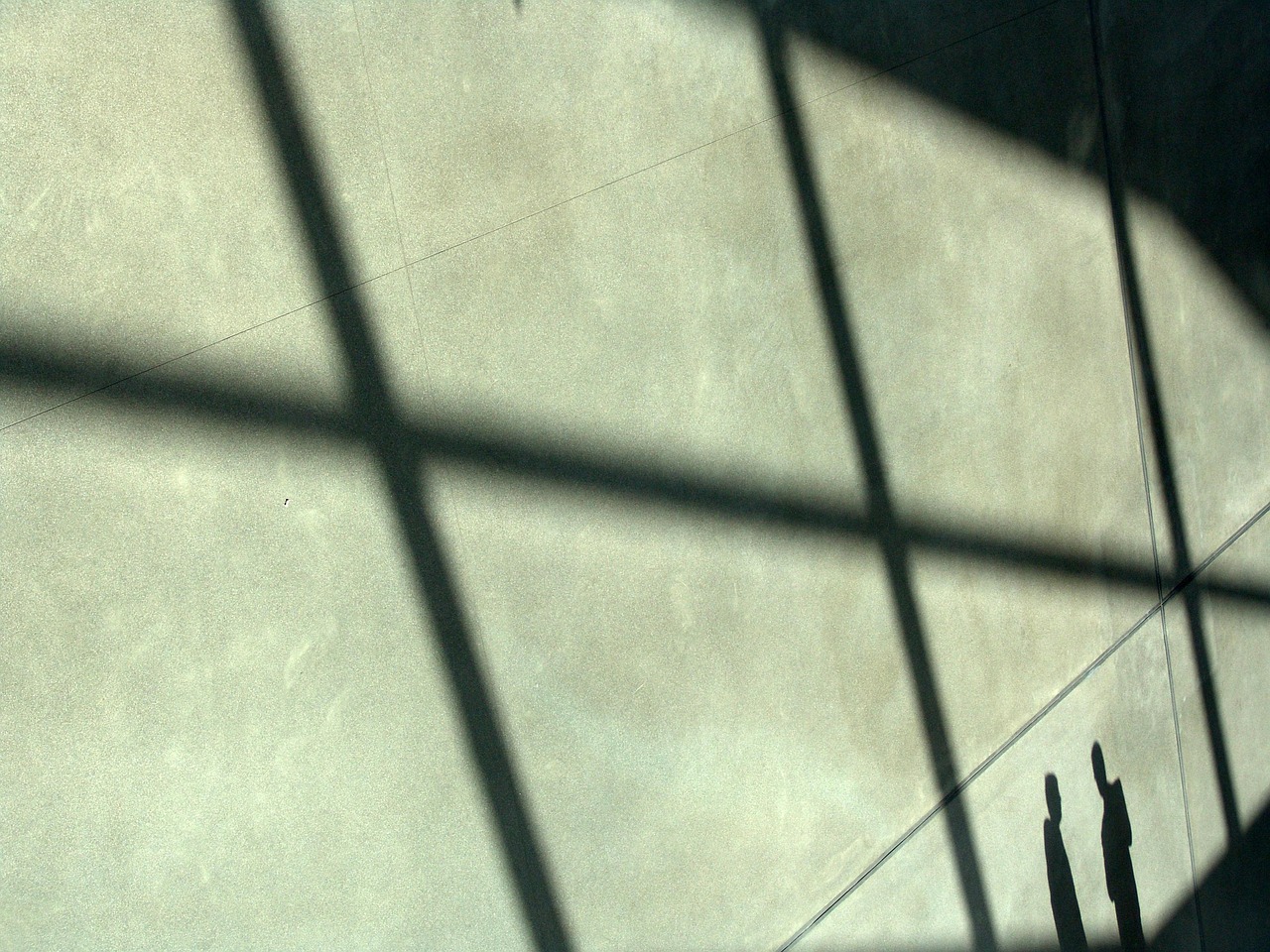 京东云实名账号：浙江注册会计师代理协议