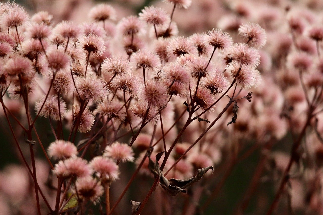 烟草行业和科学家、医生、教育和媒体等专业人士的渊源关系